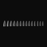 Gel-X™ Natural Stiletto Long Box of Tips 2.0